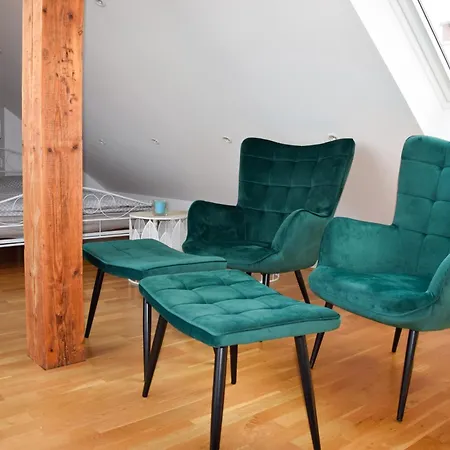 Apartment In The Center Of Kranj
